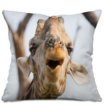 Giraffe In Namib Pillows 61350390