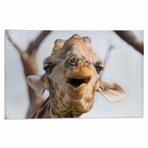 Giraffe In Namib Rugs 61350390