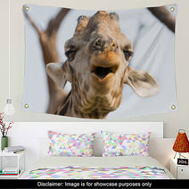 Giraffe In Namib Wall Art 61350390