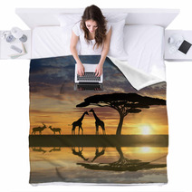 Giraffes With Kudu At Sunset Blankets 73819802