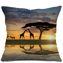 Giraffes With Kudu At Sunset Pillows 73819802
