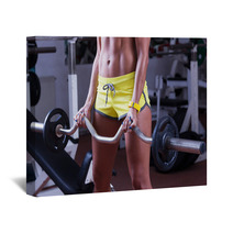 Girl Lifting Weights At Gym Wall Art 54406388