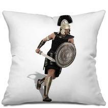 Gladiator Pillows 45898222