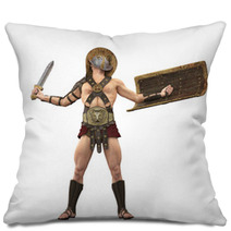 Gladiator The Victory Is Mine Front View Pillows 34371500