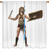 Gladiator The Victory Is Mine Front View Window Curtains 34371500