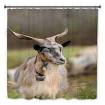 Goat In Meadow Bath Decor 62646791