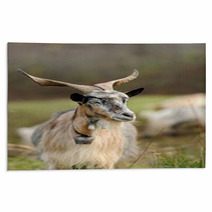Goat In Meadow Rugs 62646791