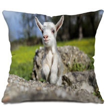 Goatling Pillows 63751473