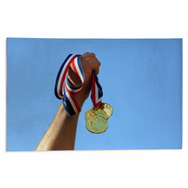 Gold Medal Winner Rugs 43522280