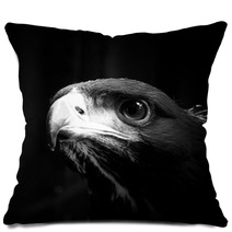 Golden Eagle Pillows 38670770