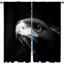 Golden Eagle Window Curtains 38670770