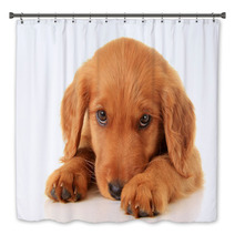 Golden Irish Puppy Bath Decor 52802631