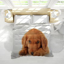 Golden Irish Puppy Bedding 52802631