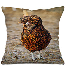 Golden Laced Polish Fowl Pillows 74930286
