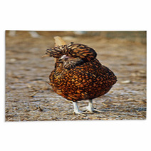 Golden Laced Polish Fowl Rugs 74930286