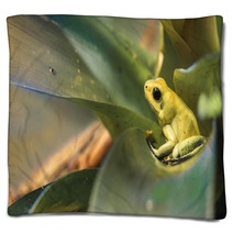 Golden Poison Dart Frog Blankets 72735947