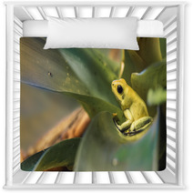 Golden Poison Dart Frog Nursery Decor 72735947