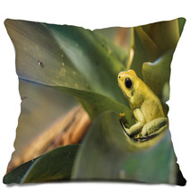 Golden Poison Dart Frog Pillows 72735947