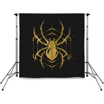 Golden Spider And Web Backdrops 113047779