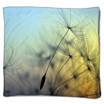 Golden Sunset And Dandelion Meditative Zen Background Blankets 68783606