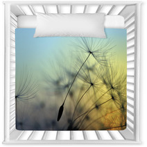 Golden Sunset And Dandelion Meditative Zen Background Nursery Decor 68783606