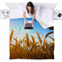 .golden Wheat Field And Sunset Blankets 67827798