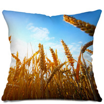 .golden Wheat Field And Sunset Pillows 67827798