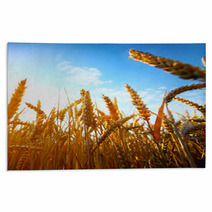 .golden Wheat Field And Sunset Rugs 67827798