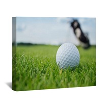 Golf Ball On Tee Wall Art 88462563