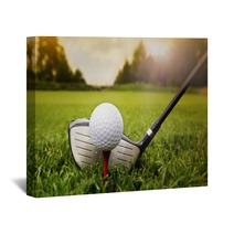 Golf Club And Ball In Grass Wall Art 57340418