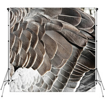 Goose Feather Backdrops 44182117