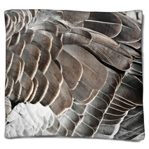 Goose Feather Blankets 44182117