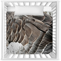Goose Feather Nursery Decor 44182117