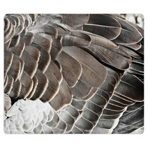 Goose Feather Rugs 44182117