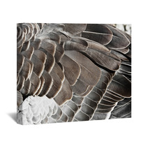 Goose Feather Wall Art 44182117