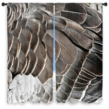 Goose Feather Window Curtains 44182117