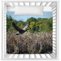Goose Flying Over The Marsh Nursery Decor 92807536