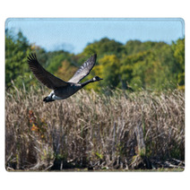 Goose Flying Over The Marsh Rugs 92807536