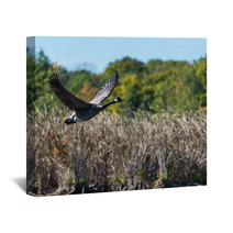 Goose Flying Over The Marsh Wall Art 92807536