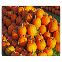 Gorgeous Orange Pumpkin Rugs 69571928