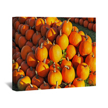 Gorgeous Orange Pumpkin Wall Art 69571928
