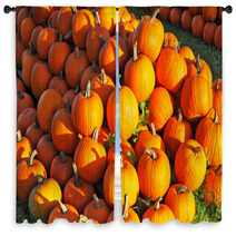 Gorgeous Orange Pumpkin Window Curtains 69571928