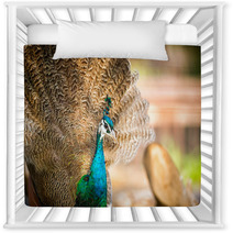 Gorgeous Peacock Nursery Decor 65409898