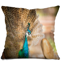 Gorgeous Peacock Pillows 65409898