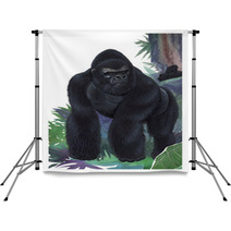 Gorila Occidental / Western Gorilla / Gorilla Gorilla Backdrops 45288214