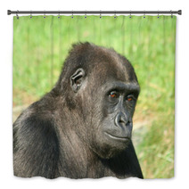 Gorilla Bath Decor 1475645