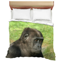 Gorilla Bedding 1475645