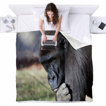 Gorilla Blankets 10897278