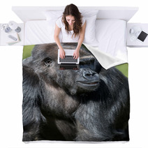 Gorilla Blankets 65409367