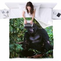 Gorilla Blankets 65759808
